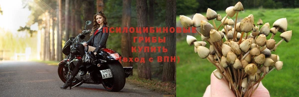 каннабис Няндома