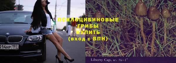 гидропоника Нягань