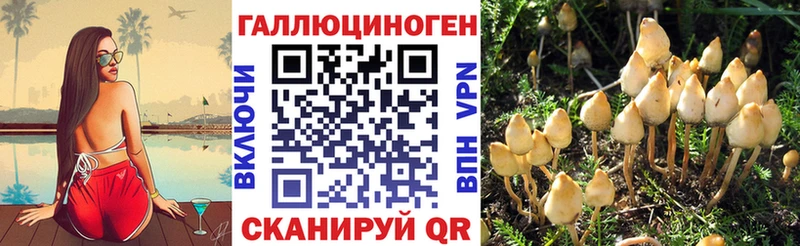 mega как войти  Кумертау  Галлюциногенные грибы мухоморы 