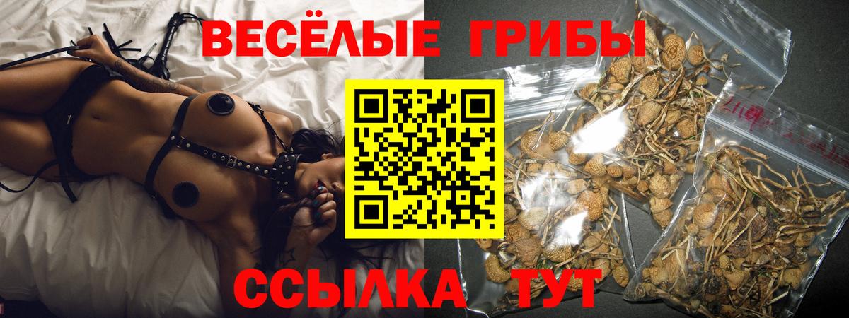 Галлюциногенные грибы MAGIC MUSHROOMS  Вход с VPN  Кумертау 